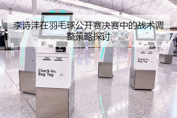 李诗沣在羽毛球公开赛决赛中的战术调整策略探讨